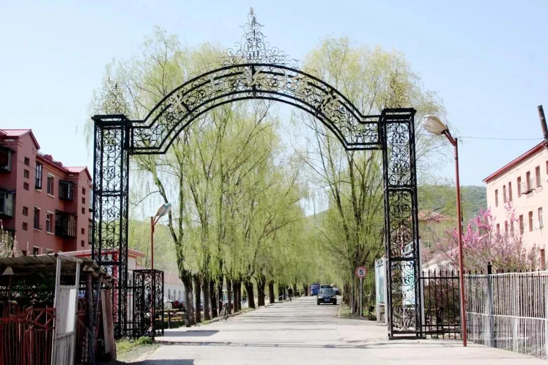 ʱ-ǲйٷվ